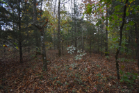 Sale Image for Wilkin Estate Personal Prop. -Absentee Bidding