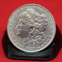 Sale Image for Large Estate Auction