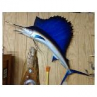 Sale Image for Grand Opening - GGA Auction House Clayton, DE