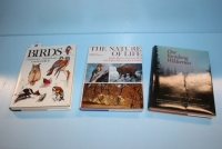 Sale Image for Second March Online Only Auction