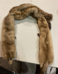 Sale Image for June Online Auction