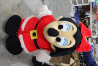 Sale Image for Large Indoor Public Auction