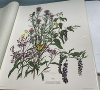 Sale Image for February Online Auction 2026