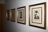 Sale Image for Moving Auction - Collection Of Jack Squires