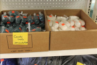 Sale Image for Jameson's Candy Store Liquidation Auction