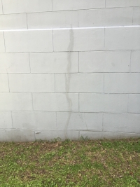 Sale Image for Auction Of The Estate Of Russell V. Puckett