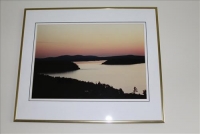 Sale Image for Moving Auction