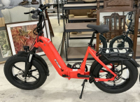 Sale Image for 2nd February Online Auction 2025