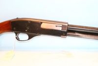 Sale Image for Special No Tax Gun Auction