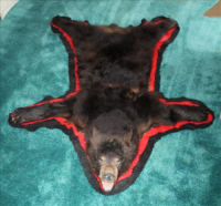 Sale Image for Real Estate &amp; Contents