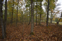 Sale Image for Wilkin Estate Personal Prop. -Absentee Bidding