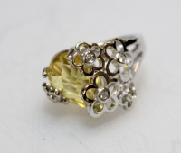 Sale Image for Special June Online Only Jewelry Auction