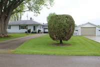 Sale Image for Real Estate & Contents