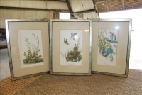 Sale Image for Large Public Auction