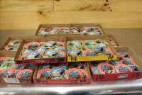 Sale Image for Large Public Auction