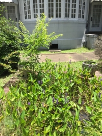 Sale Image for Auction Of The Estate Of Russell V. Puckett