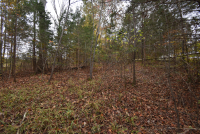 Sale Image for Wilkin Estate Personal Prop. -Absentee Bidding