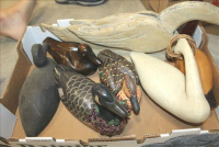 Sale Image for Large Public Auction