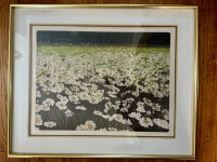 Sale Image for Country Estate Sale