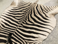 Sale Image for August Online Auction 2020