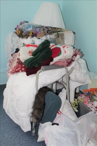 Sale Image for Absolute Real Estate & Contents Auction