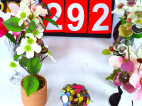 Sale Image for Online Only- Rare &amp; Unusual Collectibles Auction