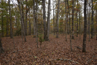 Sale Image for Wilkin Estate Personal Prop. -Absentee Bidding