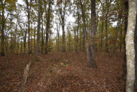 Sale Image for Wilkin Estate Personal Prop. -Absentee Bidding