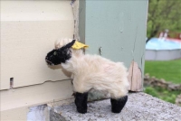 Sale Image for Large Public Auction