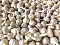 Sale Image for Country Estate Sale