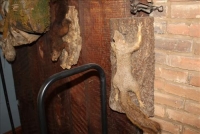 Sale Image for Large Public Auction