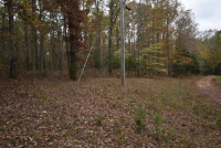 Sale Image for Wilkin Estate Personal Prop. -Absentee Bidding