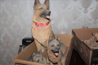 Sale Image for Real Estate And Contents