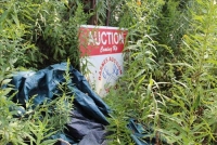 Sale Image for Primitives, Antiques, Collectibles & Tool Auction