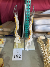 Sale Image for Florida Spine And Joint Institute, LLC