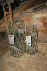 Sale Image for Estate Auction Real Estate & Contents