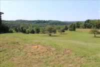 Sale Image for Real Estate & Contents