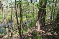 Sale Image for Real Estate And Contents