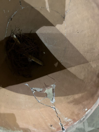 Sale Image for 6th Estates Merchandise Online Auction 2023