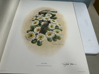 Sale Image for February Online Auction 2026