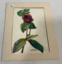 Sale Image for New Year Online Auction 2025