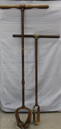 Sale Image for Large Public Auction