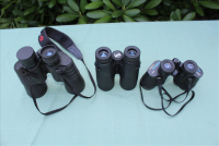 Sale Image for Estate Auction