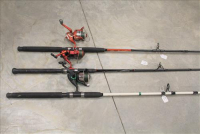 Sale Image for Large Public Auction