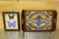 Sale Image for Large Public Auction - Live & In Person