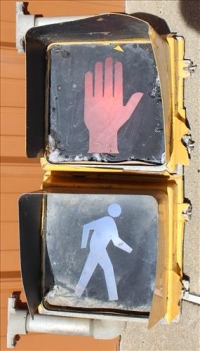 Sale Image for Large Public Auction