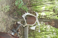 Sale Image for Primitives, Antiques, Collectibles & Tool Auction