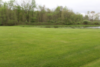 Sale Image for Real Estate & Contents