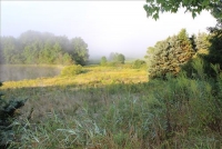 Sale Image for Real Estate Auction