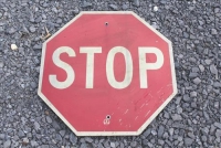 Sale Image for Large Public Auction